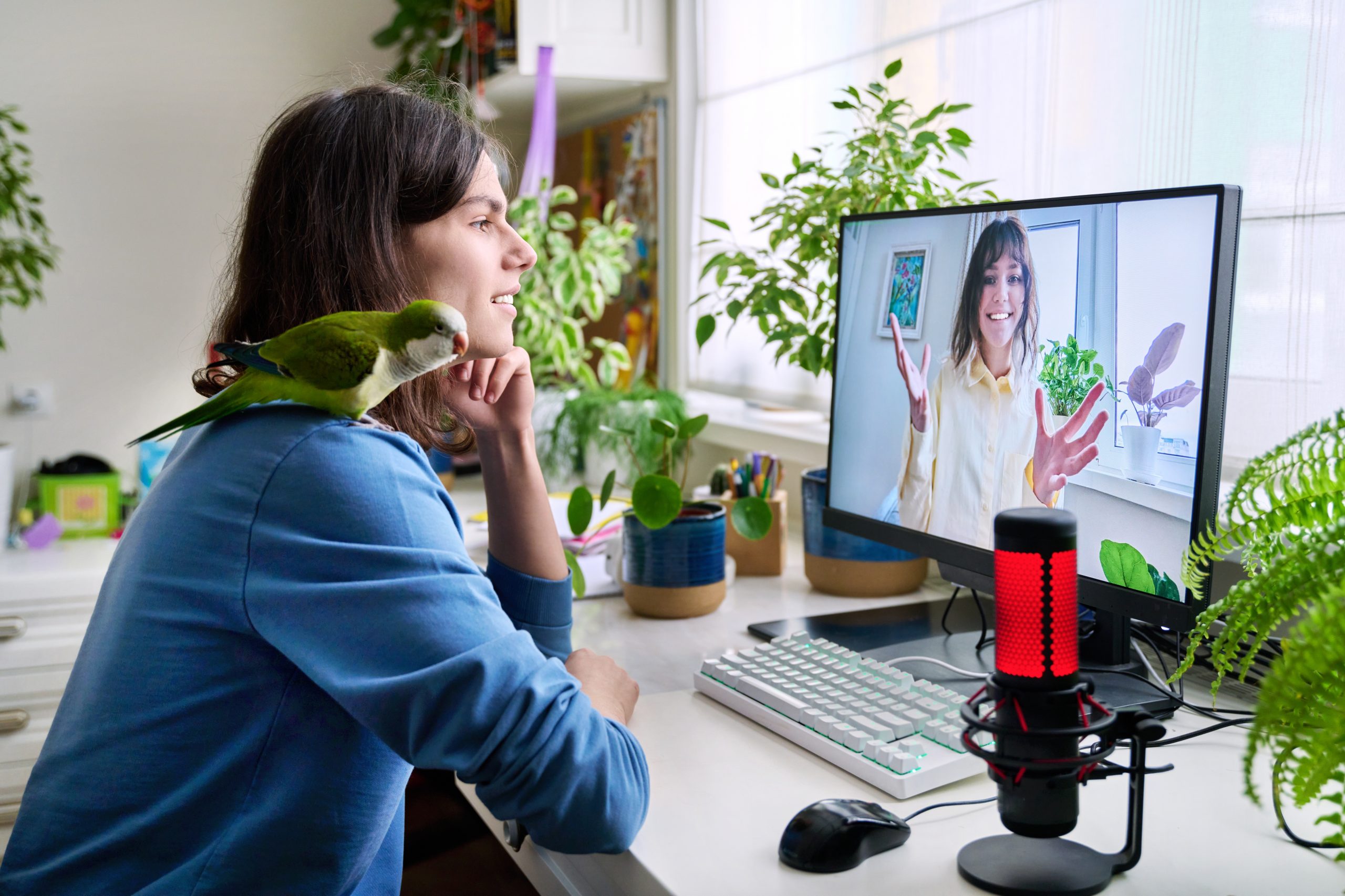 Online meeting of teenagers friends, guy with pet parrot sitting at home talking to a smiling female on computer monitor. Friendship, communication, technology, youth, lifestyle, young people concept